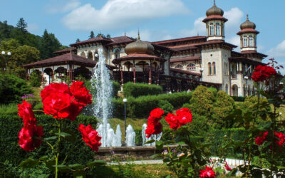 Casa de cultura Slanic Moldova, Romania