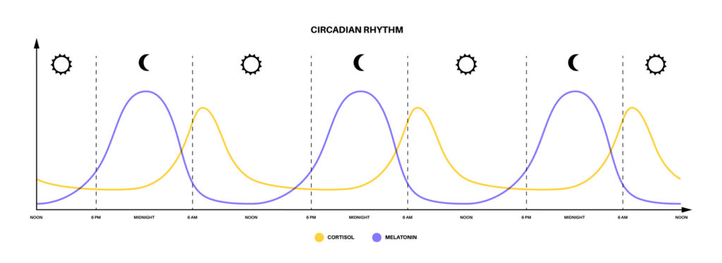 ritmul circadian