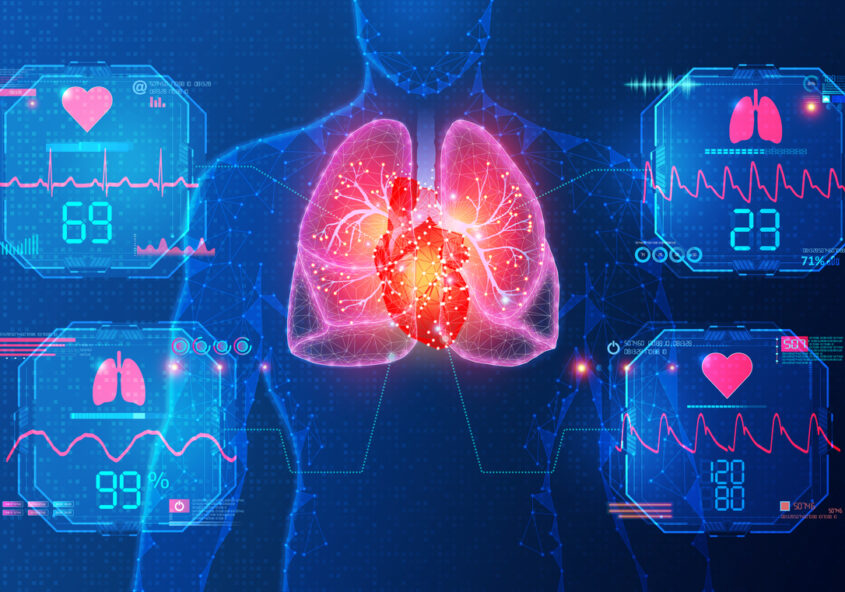 inima și plămânii