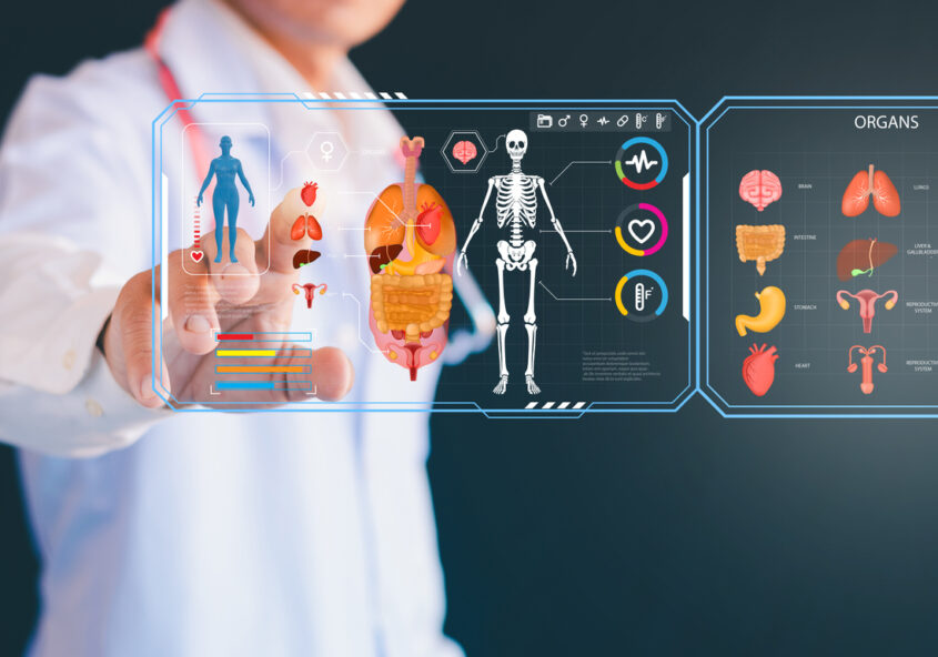 organismul uman