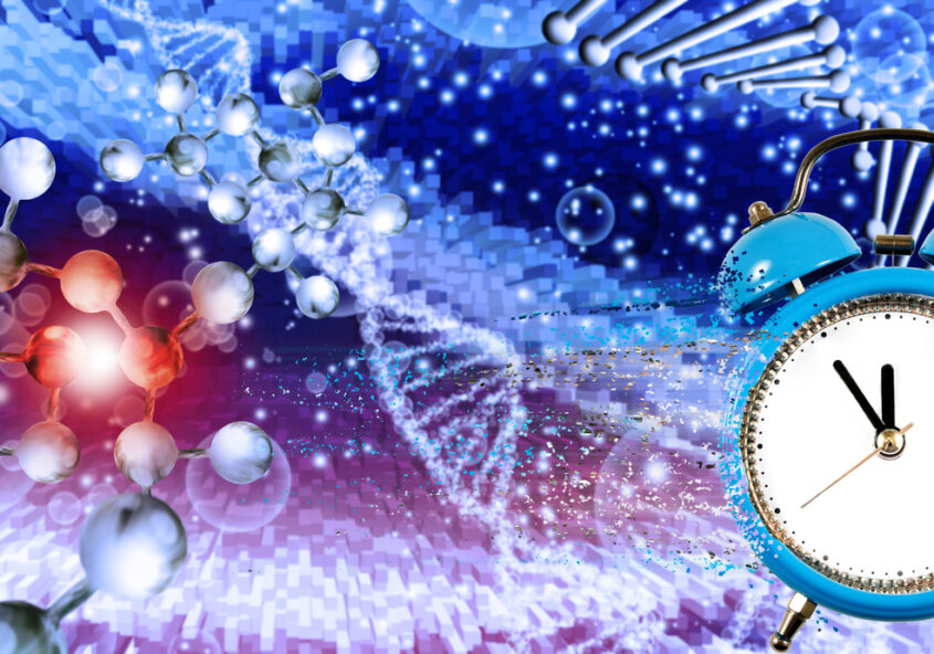 suplimentele cu melatonină