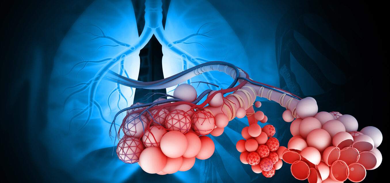 schimbul de gaze la nivel pulmonar