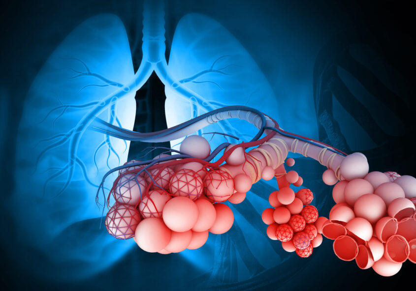 schimbul de gaze la nivel pulmonar