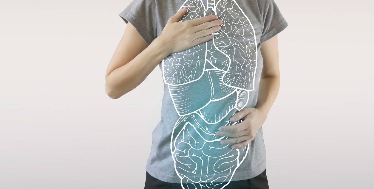 axa intestin plămâni