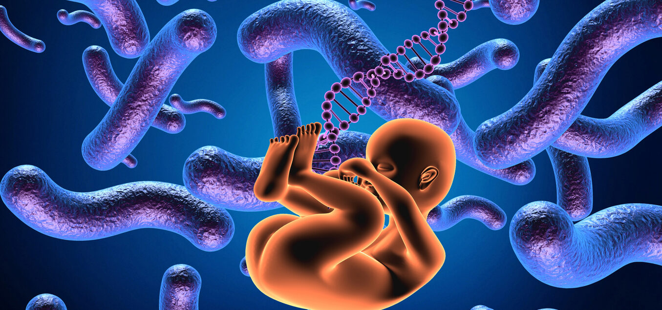 germenii materni și dezvoltarea creierului