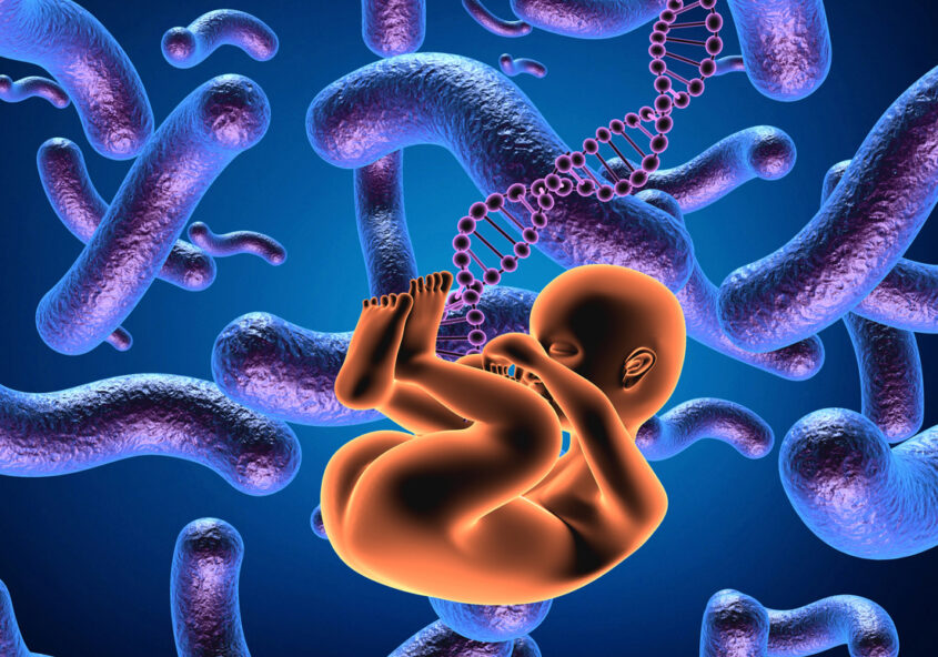 germenii materni și dezvoltarea creierului