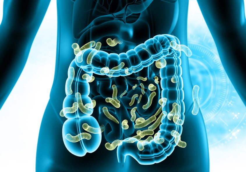 rezistența la insulină